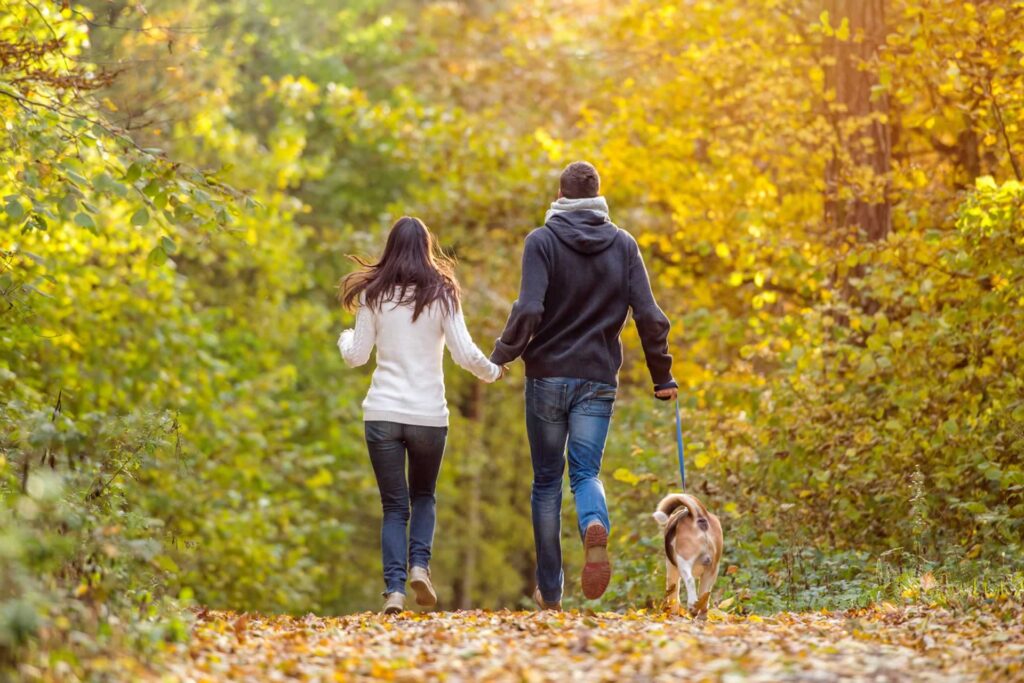 reasons to Visit The Malvern’s during Autumn